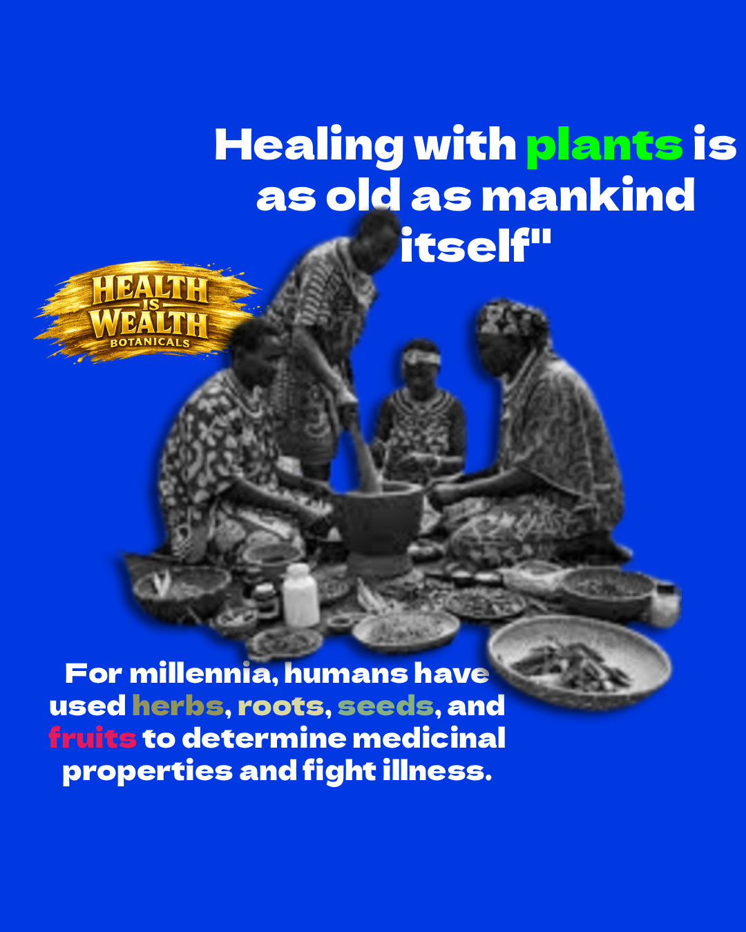 The Timeless Wisdom of Herbal Medicine: Ancient Healing for Modern Times